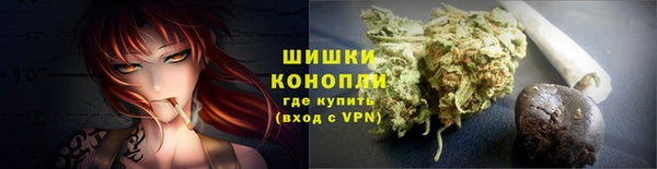 ГАЛЛЮЦИНОГЕННЫЕ ГРИБЫ Пестово