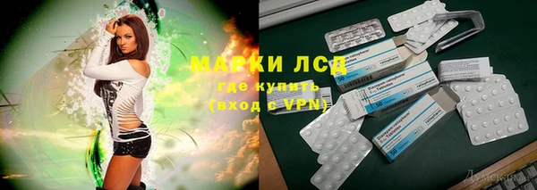 ГАЛЛЮЦИНОГЕННЫЕ ГРИБЫ Пестово