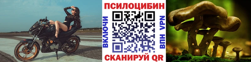 Галлюциногенные грибы мицелий  Чекалин 